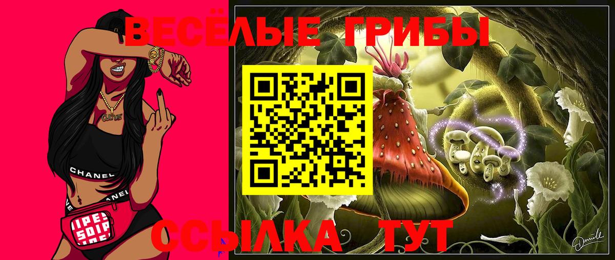 Валуйки  Галлюциногенные грибы ЛСД  Вход с VPN 