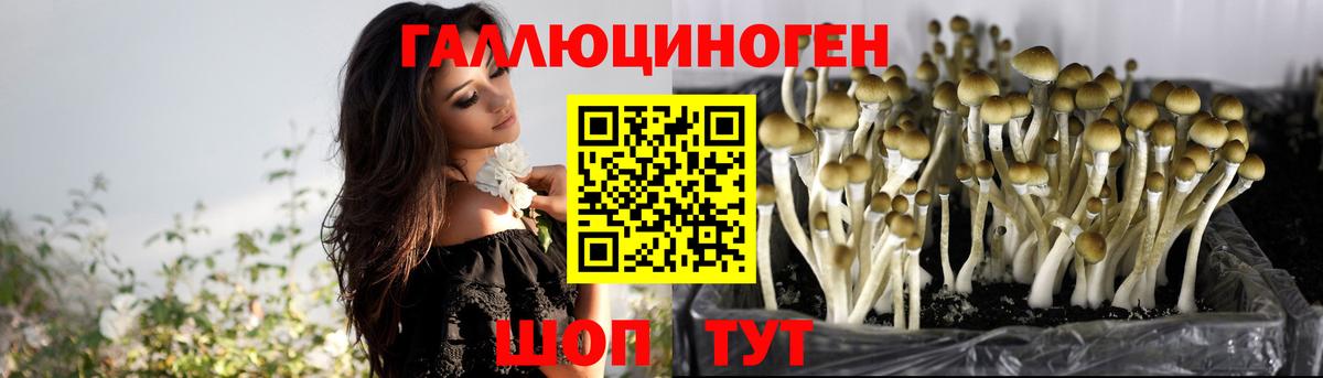Галлюциногенные грибы прущие грибы Валуйки